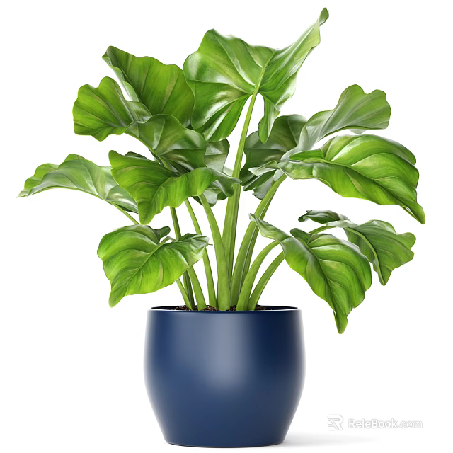 Modern Potted Plant With Lush Green Large Leaves In Blue Pot 3d model 