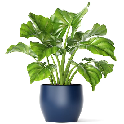 Modern Potted Plant With Lush Green Large Leaves In Blue Pot 3d model
