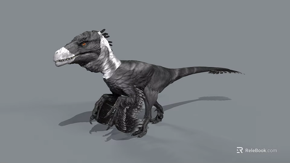 Black and White Feathered 3D Dinosaur Model With Crested Head Open Mouth And Clawed Limbs 3d model 