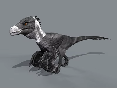 Black and White Feathered 3D Dinosaur Model With Crested Head Open Mouth And Clawed Limbs 3d model