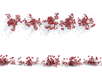 Red Hanging and Clustered Flowers and Plants on White Background with Shadows 3d model