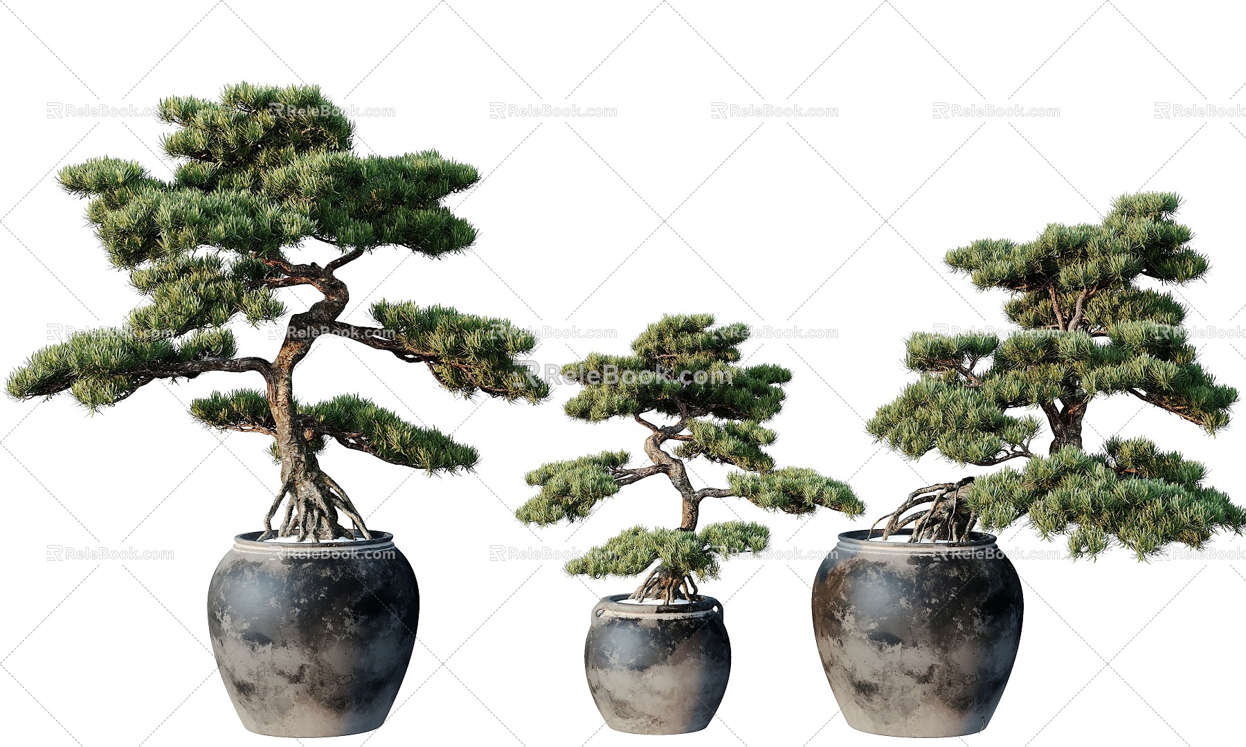 New Chinese Plant Bonsai Bonsai Green Plant Flowers Flowers Trees Plants Green Plant Wall Flower Pot 3d model