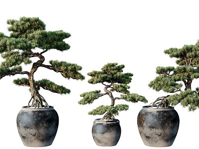 New Chinese Plant Bonsai Green Plant Flowers Trees Plants Green Plant Wall Flower Pot 3d model