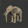 Wooden Elephant Model with Long Tusks Standing on Dark Background and Smooth Texture