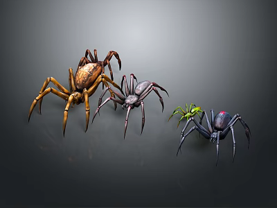 Three Varied Colored Spiders with Detailed Designs and Distinct Features 3d model