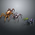 Three Varied Colored Spiders with Detailed Designs and Distinct Features