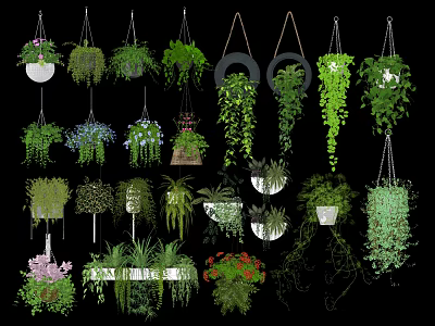 Various Types of Lush Green Hanging Basket Plants for Indoor Decoration 3d model