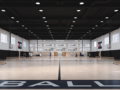 basketball hall basketball court indoor court wind and rain playground school workshop basketball 3d model