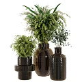 Dark Textured Ceramic Vases With Lush Green Foliage Arranged In Various Sizes