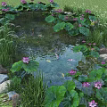 New Chinese Landscape Pool Lotus Pool View Carp Pool Waterscape Lotus Koi Fish Pool 3d model