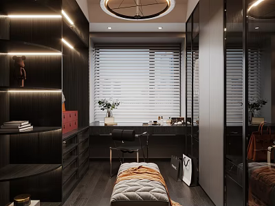 Modern Walk in Closet With Dark Cabinets And Lighting 3d model