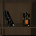 Modern Black Swing Door Design With Decorative Books And Gold Cactus Pot