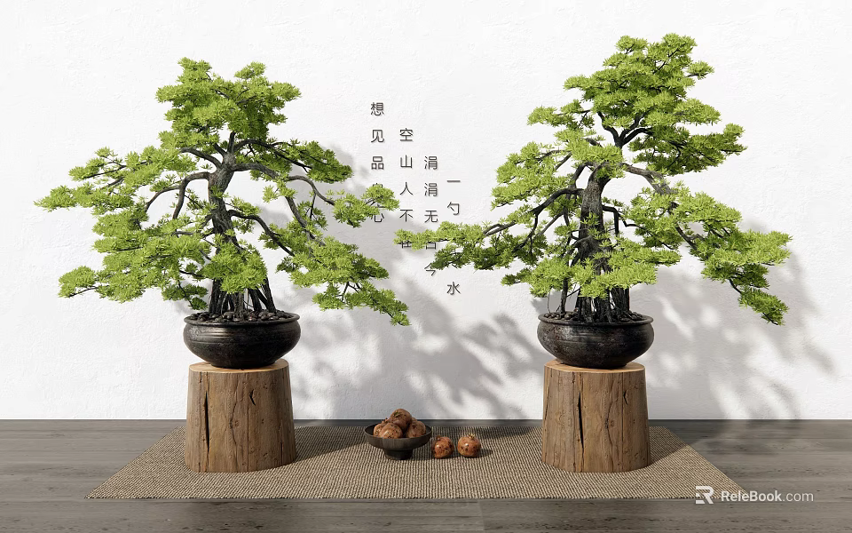 Two Pine Bonsai Trees on Wooden Stumps with Green Foliage and Decorative Nuts 3d model 