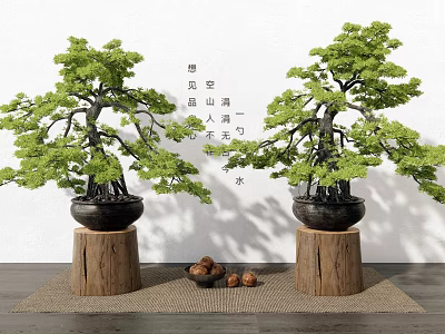 Two Pine Bonsai Trees on Wooden Stumps with Green Foliage and Decorative Nuts 3d model