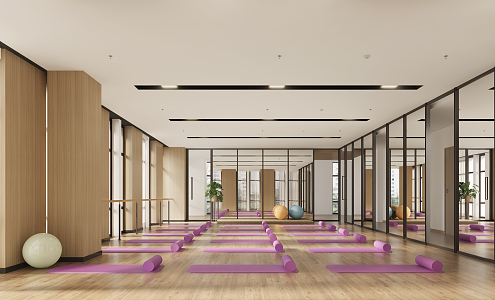 Modern Yoga Room Yoga Room 3d model