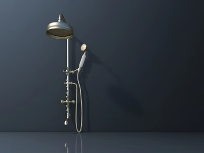 Modern Brass Shower Head With Handheld Sprayer And Wall Mounted Design 3d model