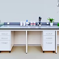 Laboratory Workbench Setup with White Cabinets Sink Bottles Green Plant and Hanging Lamp