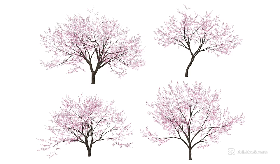 Blooming Arbor with Pink Blossoms and Lush Branches on White Background 3d model 
