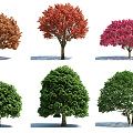 The Modern Tree 3d model