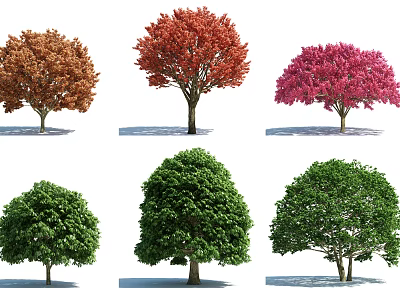 Various Colorful Arbor Trees with Green Red Pink Brown Foliage for Landscaping 3d model