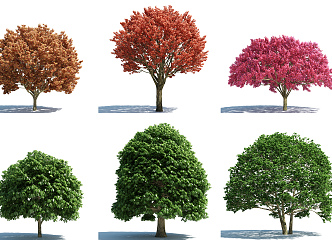 The Modern Tree 3d model