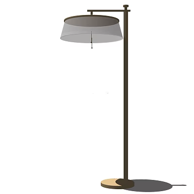 Modern Floor Lamp With Light Shade And Dark Metal Pole For Home Decor 3d model