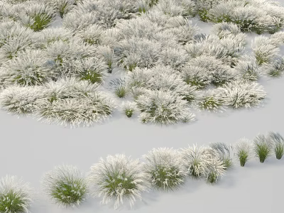 Snow Covered Grass Plants With White Frost And Green Tips In Winter Field 3d model