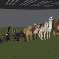Realistic Reptile Models With Mammal Figurines On Green Grass Field