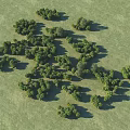 Aerial View Of Green Grassland With Scattered Tree Clusters In Natural Setting