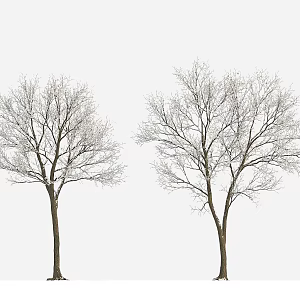 plant tree big tree winter tree winter plant snow tree 3d model