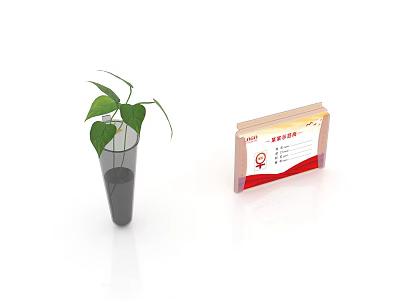 Decorative Transparent Vase With Green Plant And Red Yellow Cover Document 3d model