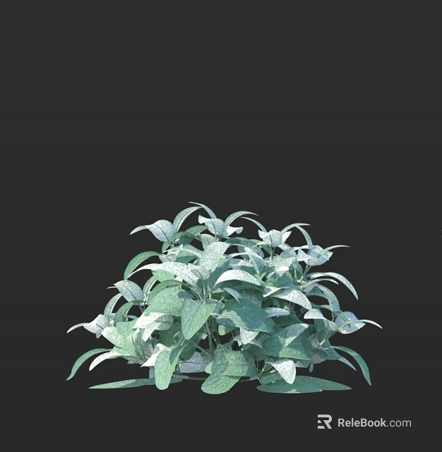 Lush Green Plants with Variegated Leaves Ideal for Indoor Home Decoration 3d model 