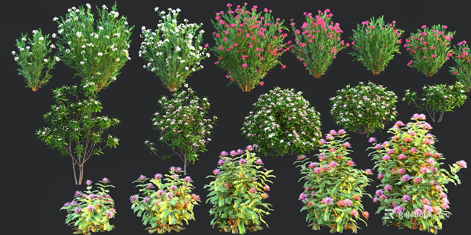 Various Types Of Flowering Shrubs With Colorful Blooms And Lush Green Foliage 3d model 