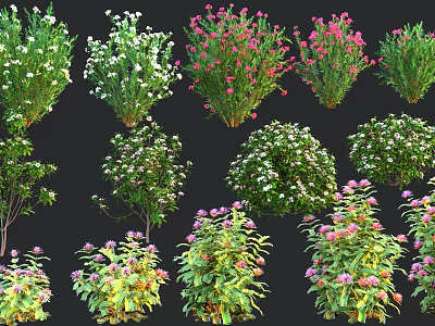 Various Types Of Flowering Shrubs With Colorful Blooms And Lush Green Foliage 3d model