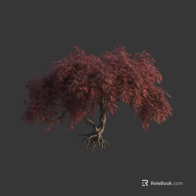 Lush Red Leaf Arbor With Spreading Canopy And Exposed Roots 3d model 