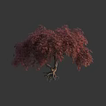 Lush Red Leaf Arbor With Spreading Canopy And Exposed Roots 3d model