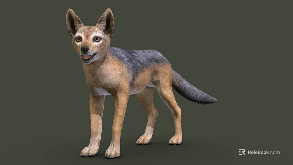 Realistic 3D Model of Standing Fox With Brown And Gray Fur On Gray Background 3d model 