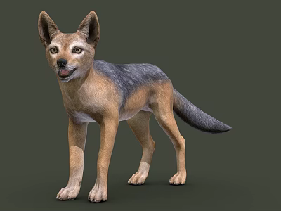 Realistic 3D Model of Standing Fox With Brown And Gray Fur On Gray Background 3d model
