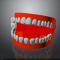 Dental Jaw Model With Red Base And White Artificial Teeth Structure