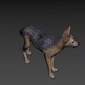 Realistic 3D Model of Standing Fox With Brown And Gray Fur On Gray Background