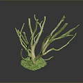 Decorative Tree Like Ornament With Slender Light Brown Branches And Green Moss Base 3d model