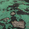 Worn Green Damaged Ground With Black Patches Scattered Colorful Debris And Cracks