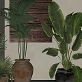 Potted Palm And Banana Leaf Plants In Terracotta And Gray Pots On Stone Floor