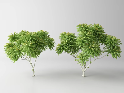 Two Arbor Trees With Lush Green Foliage And Natural Branch Design 3d model