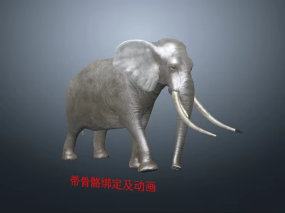 Realistic 3D Elephant Model With Detailed Skeleton Rigging And Animation 3d model