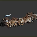 Fresh Brown And White Mushrooms Pile With Different Sizes And Healthy Vegetables