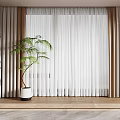 White Sheer And Brown Curtains For Modern Interior With Wooden Floor And Green Plant