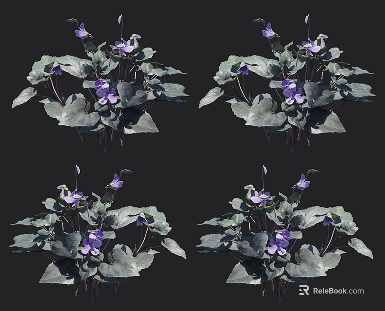 Natural Purple Flowering Plants With Green Leaves And Fresh Blooms 3d model 