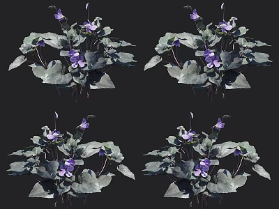 Natural Purple Flowering Plants With Green Leaves And Fresh Blooms 3d model