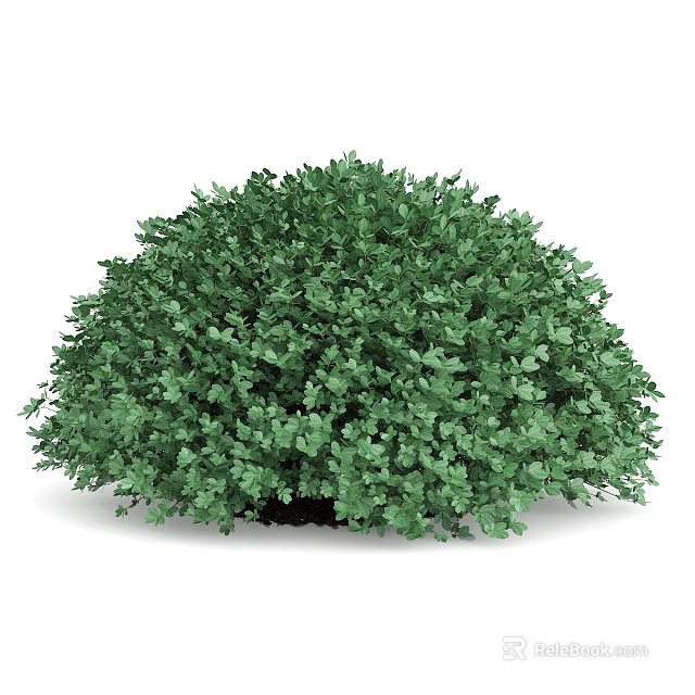 Lush Green Arbor With Dense Foliage And Vibrant Rounded Canopy Shape 3d model